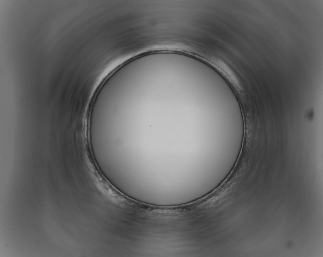X0000090991044200708021158