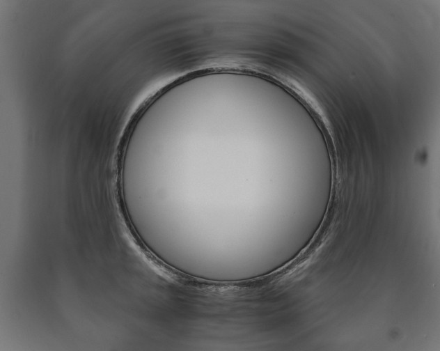 X0000090991045200708021158