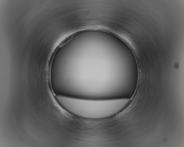 X0000090991046200708021158