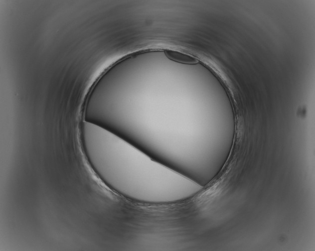 X0000090991048200708021159