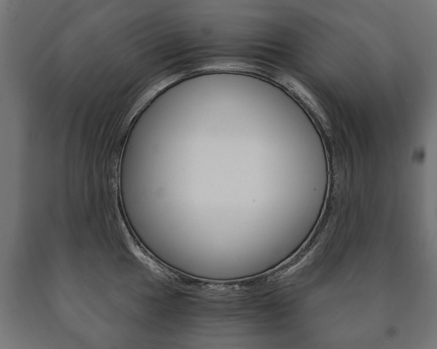X0000090991049200708021159