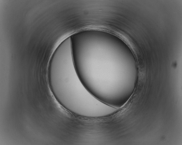 X0000090991050200708021159