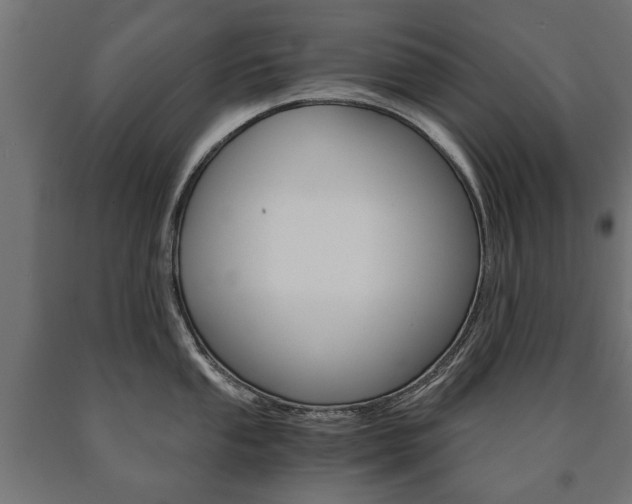 X0000090991053200708021159