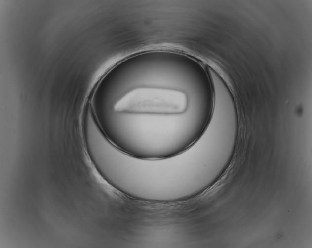 X0000090991054200708021159