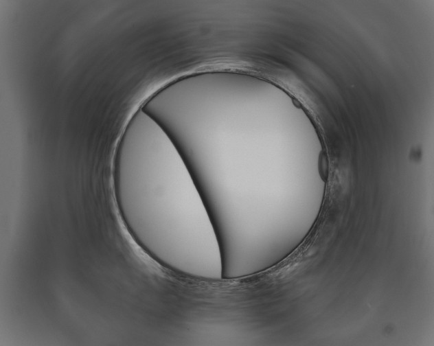 X0000090991055200708021159