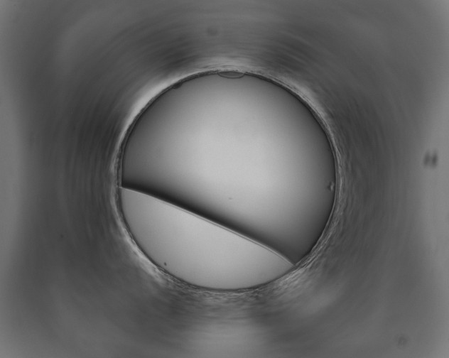 X0000090991056200708021159