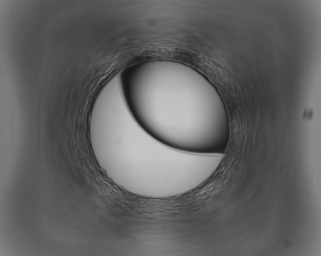 X0000090991057200708021158
