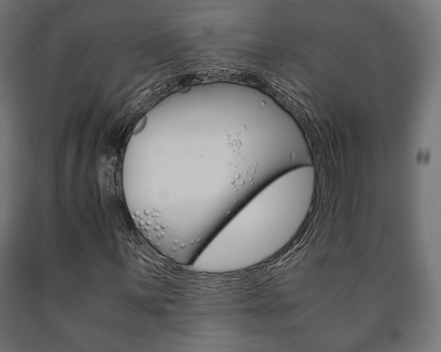 X0000090991059200708021158