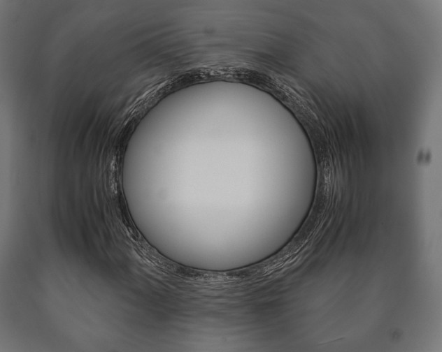 X0000090991060200708021158