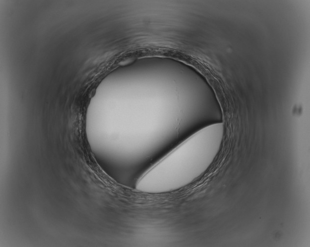 X0000090991061200708021158