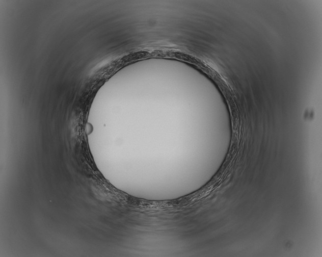X0000090991063200708021158