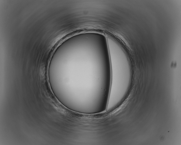 X0000090991065200708021158