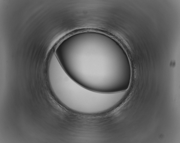 X0000090991069200708021158