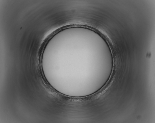 X0000090991070200708021158