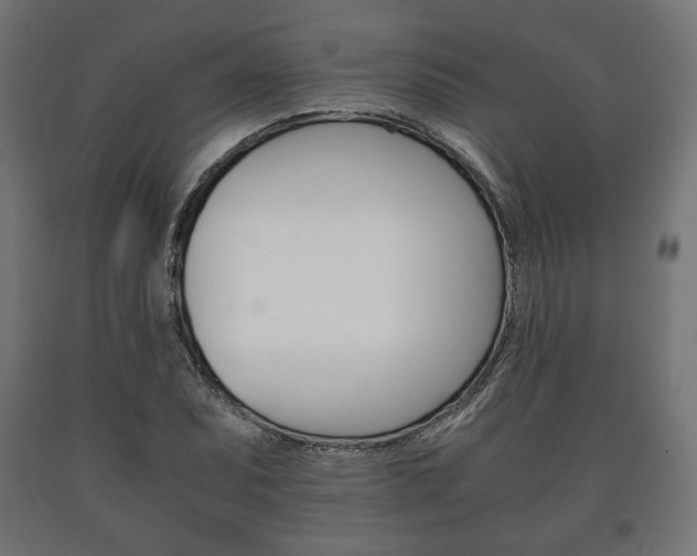 X0000090991071200708021158