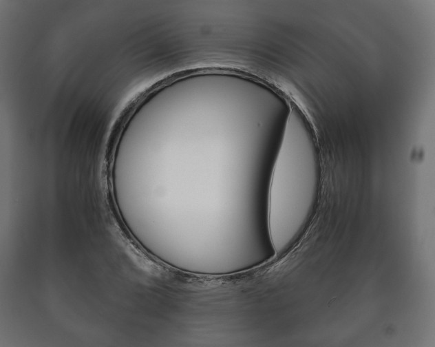 X0000090991072200708021158