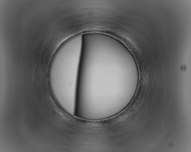 X0000090991073200708021158