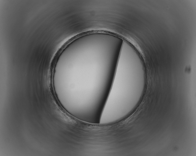 X0000090991076200708021158