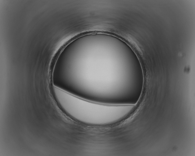 X0000090991077200708021158