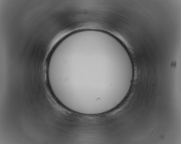 X0000090991078200708021158