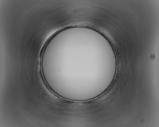 X0000090991079200708021158