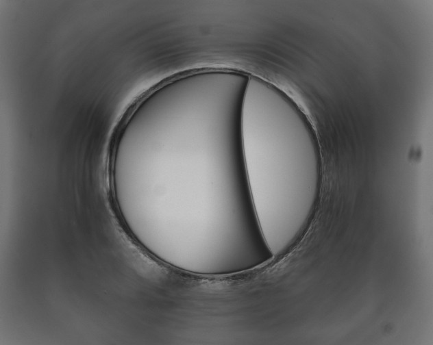 X0000090991080200708021158