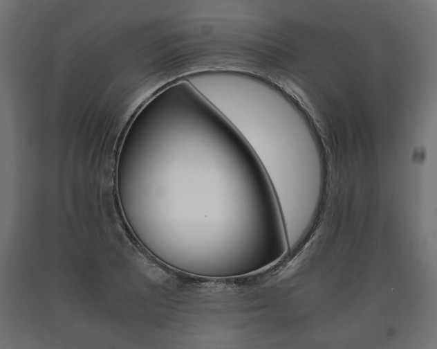 X0000090991081200708021158
