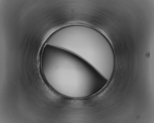 X0000090991082200708021158