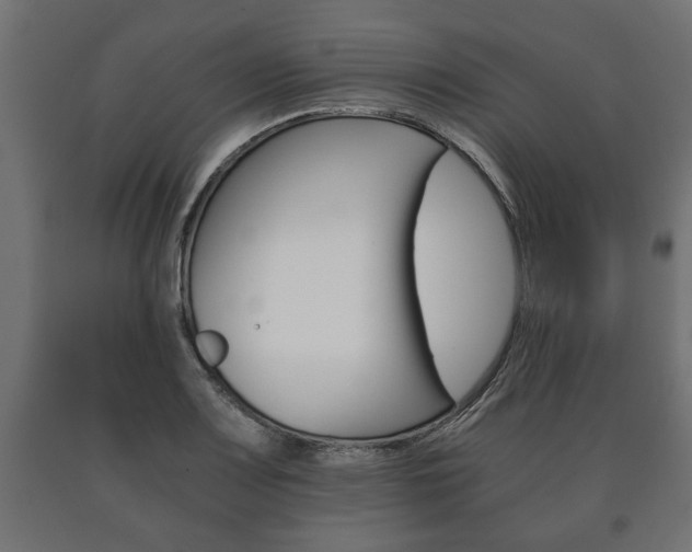 X0000090991083200708021158