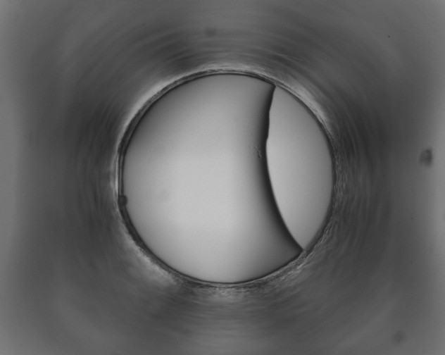 X0000090991084200708021158