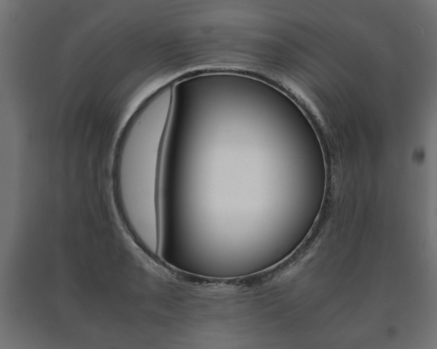 X0000090991085200708021158