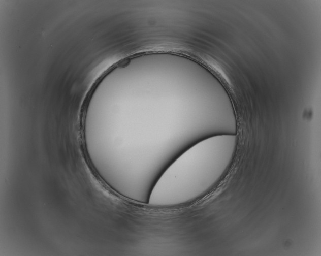 X0000090991087200708021157