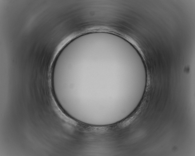 X0000090991090200708021157