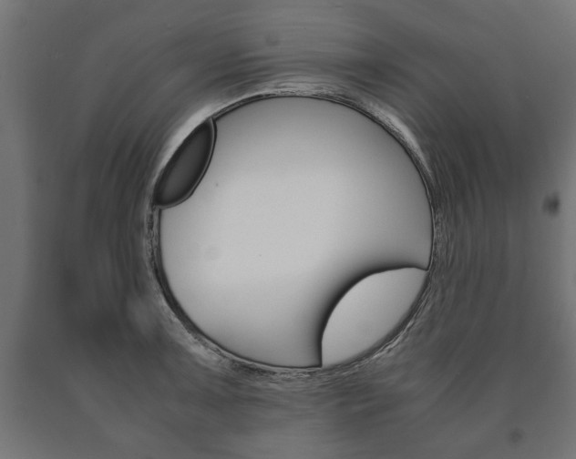 X0000090991091200708021157