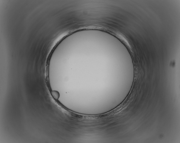 X0000090991095200708021157