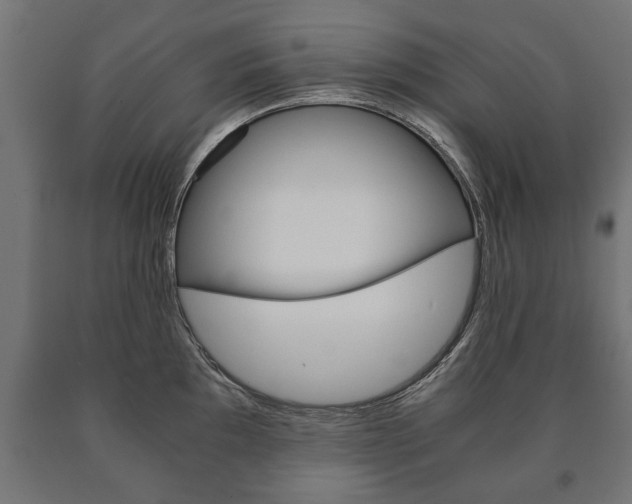 X0000090991097200708021157