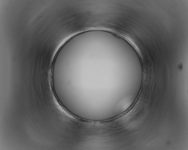 X0000090991100200708021157