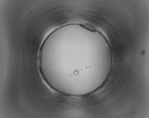X0000090991103200708021157