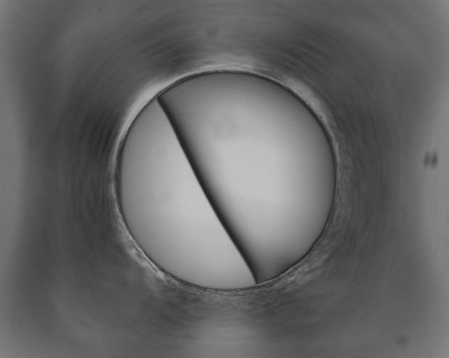 X0000090991104200708021157