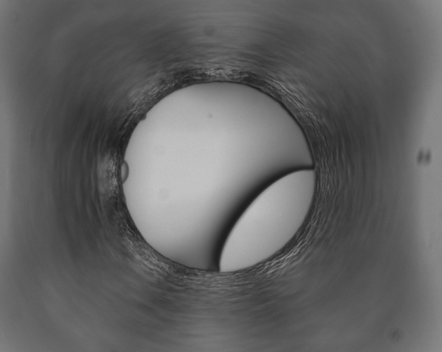 X0000090991106200708021157