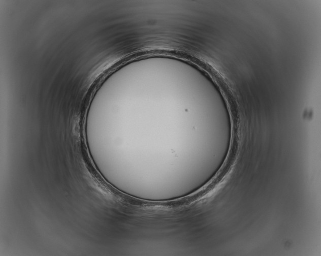 X0000090991113200708021157