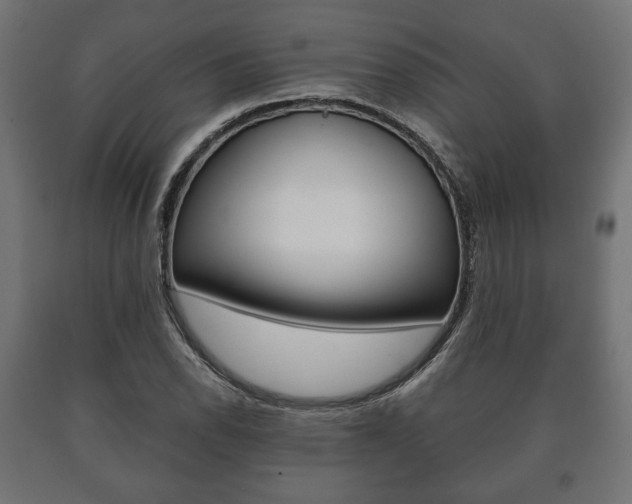 X0000090991118200708021157