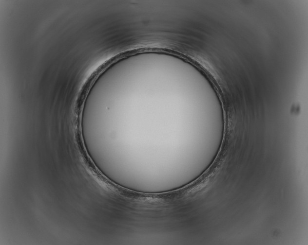 X0000090991119200708021157