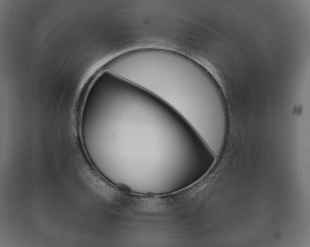 X0000090991120200708021157