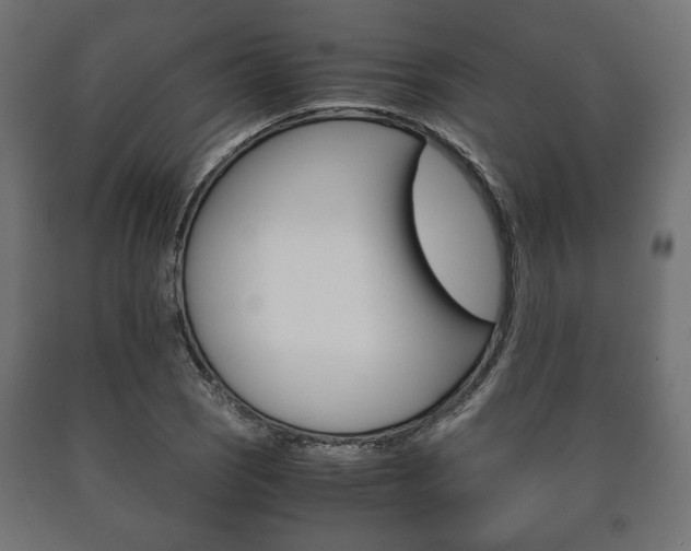 X0000090991121200708021157