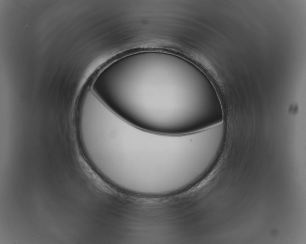 X0000090991122200708021157