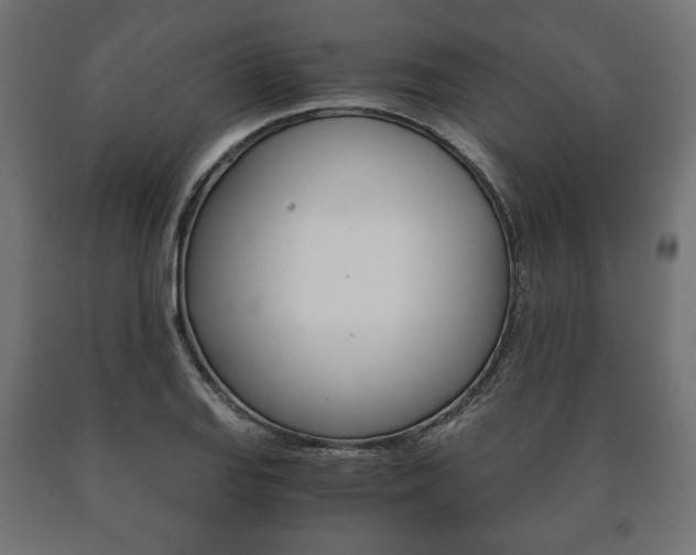 X0000090991127200708021157