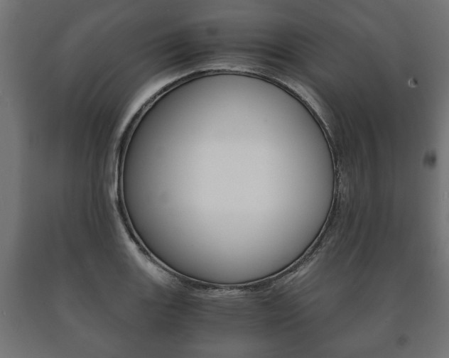 X0000090991131200708021157