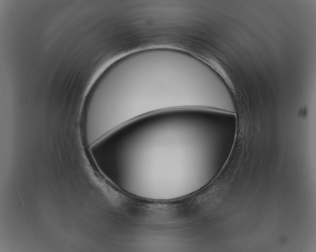 X0000090991132200708021157
