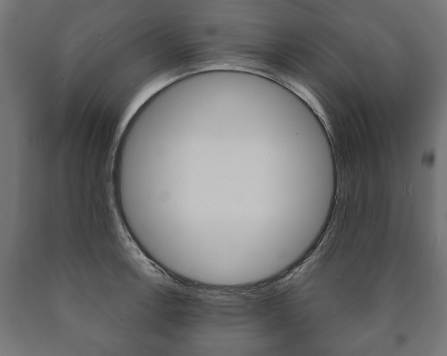 X0000090991138200708021157